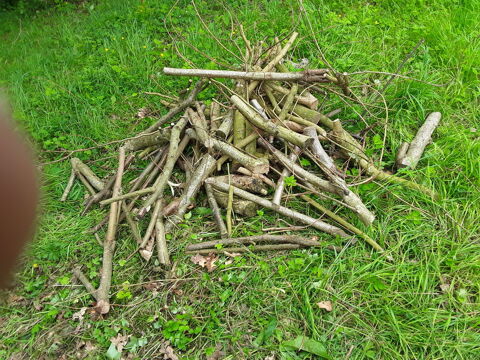 Don bois 0 Fécamp (76)