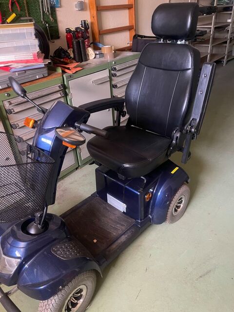 fauteuil émeu Saint-Doulchard (18)