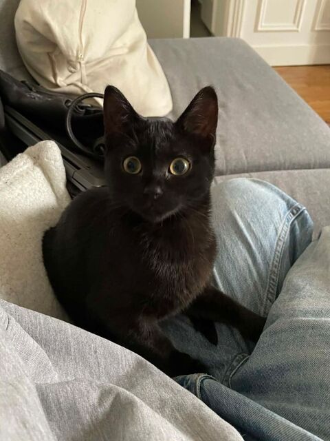 Francesca belle princesse &eacute;b&egrave;ne 180 75013 Paris