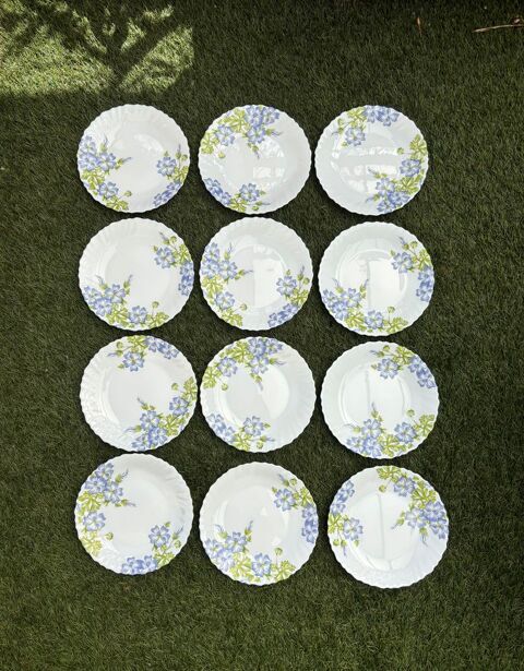 de fleurs bleues et vertes lot de 12 assiette blanche, avec des jolis motifs de fleurs bleues et vertes Simandres (69)