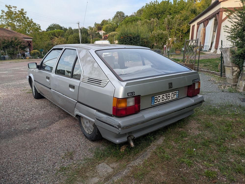 BX 1.9 D RD 1989 occasion 47140 Penne-d'Agenais