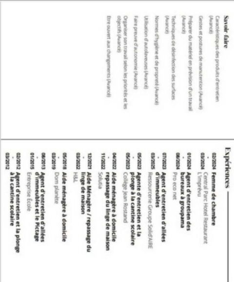 m&eacute;nage+et+repassage+sur+oyonnax+uniquement 0 01100 Oyonnax