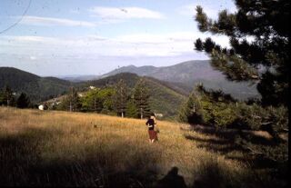  Terrain � vendre 1377 m� Concoules