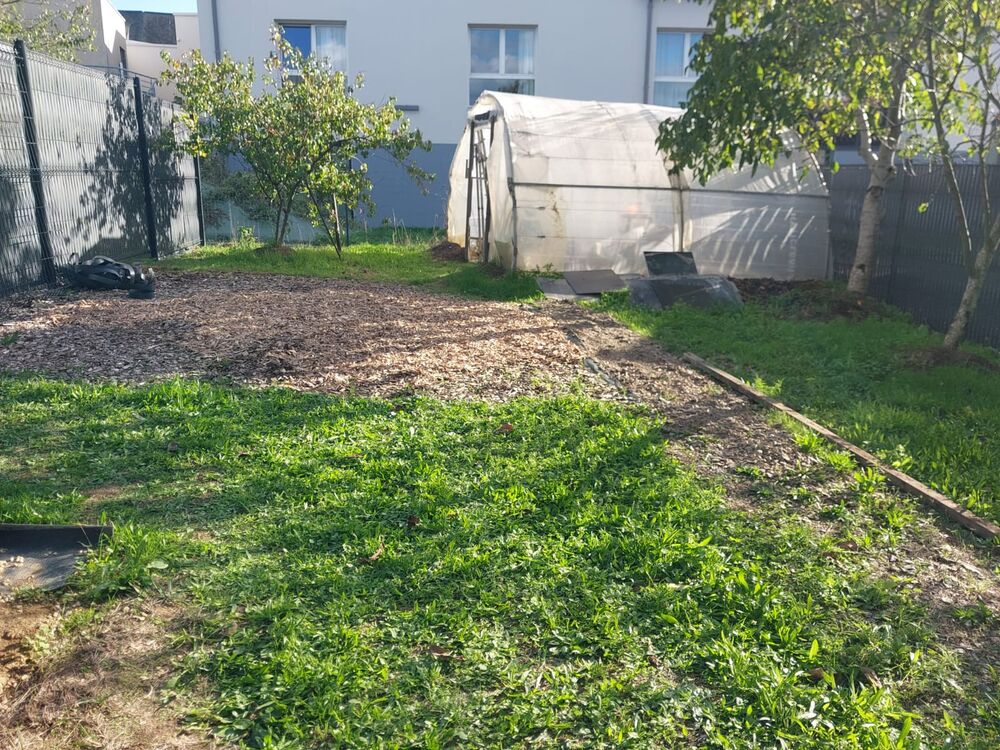 Location Maison Maison 1 chambre 30m2 avec jardin Beaupréau