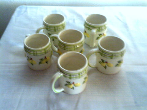 6 CHOPES EN BARBOTINE THÈME CITRONS 5 Céret (66)