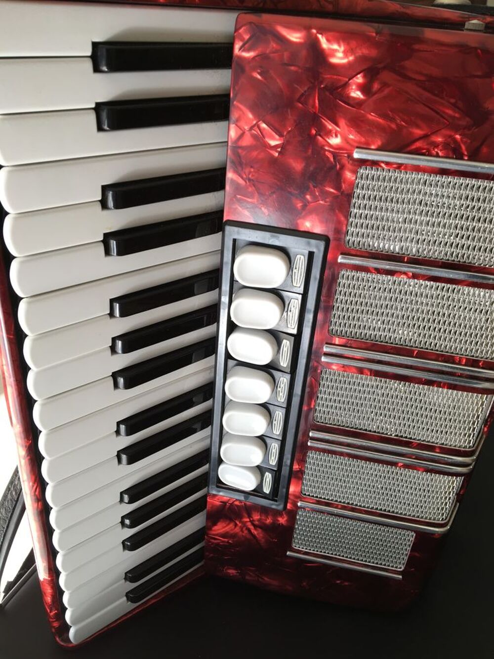 ACCORDEON DELICIA ARNALDO XIII Instruments de musique