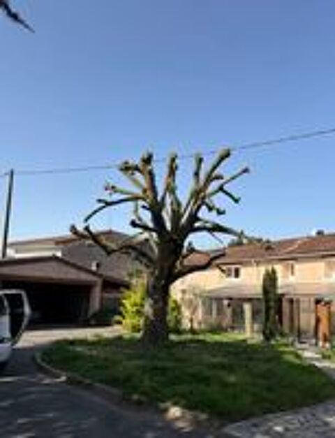   élagage jardin 
