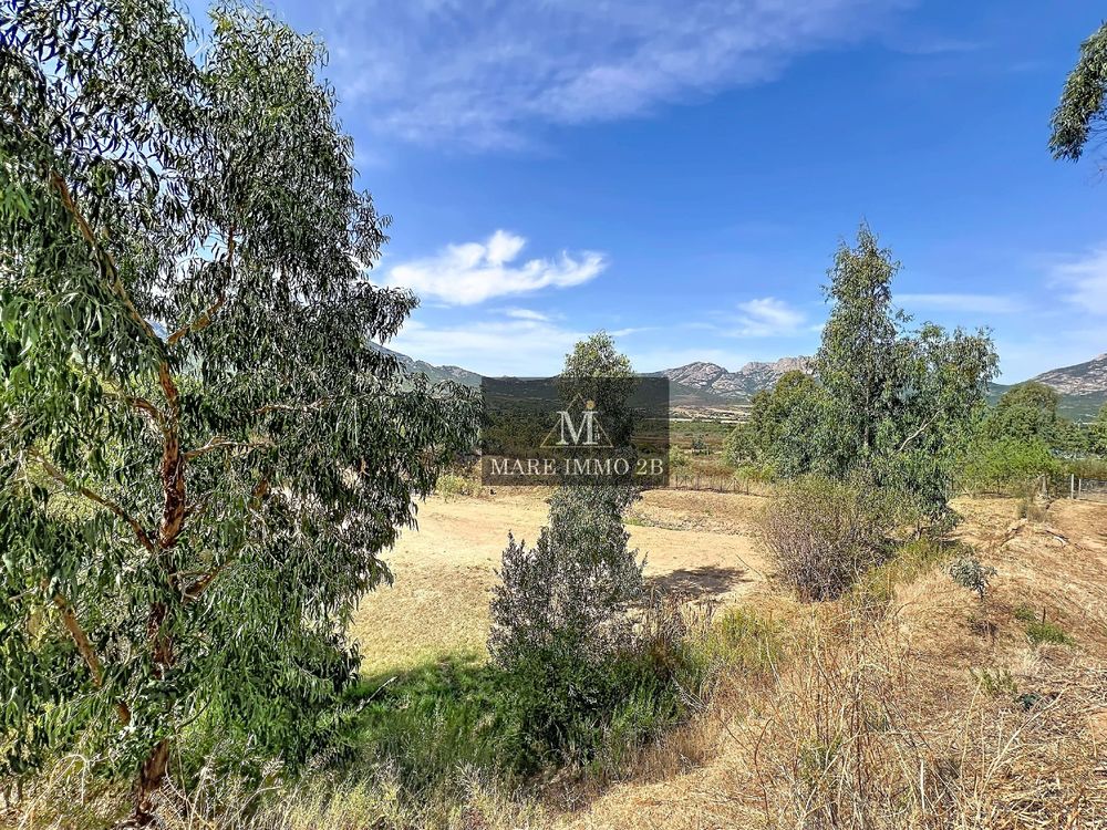 Vente Terrain Terrain constructible vue exceptionnelle sur les Montagnes Calvi