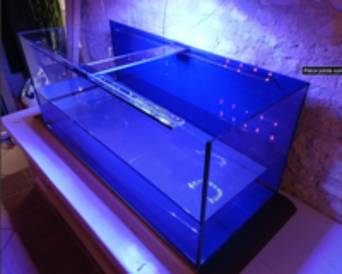   Aquarium 300l 