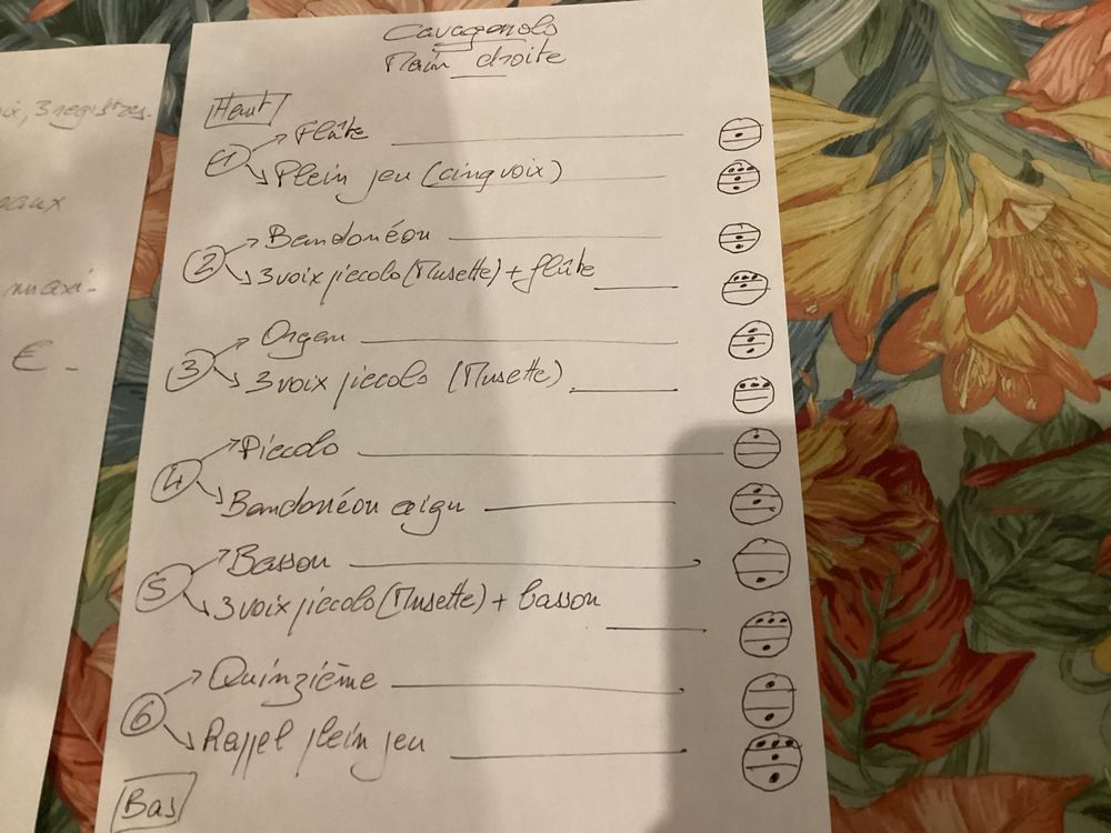 ACCORD&Eacute;ON CAVAGNOLO MOD&Egrave;LE RARE Instruments de musique