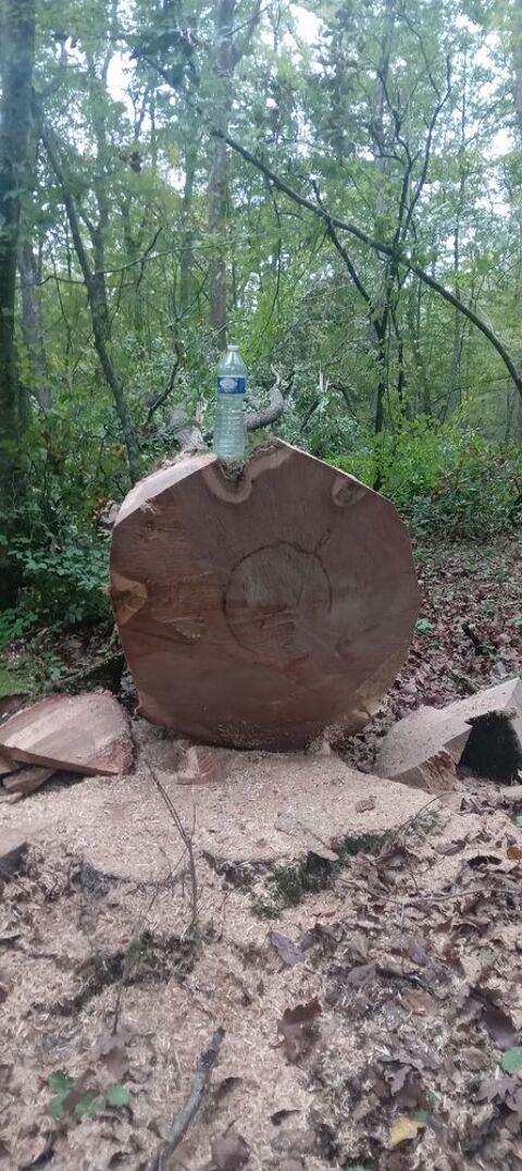 Tron�onneuse 900 Saint-Pierre-le-Mo�tier (58)