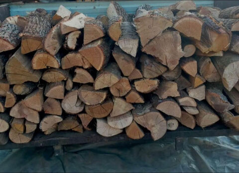 de bois de chauffage 55 75020 Paris