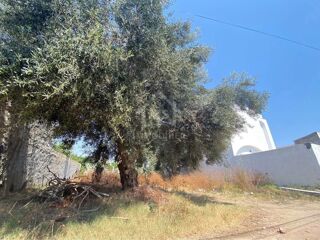  Terrain � vendre 250 m� Hammamet, tunisia