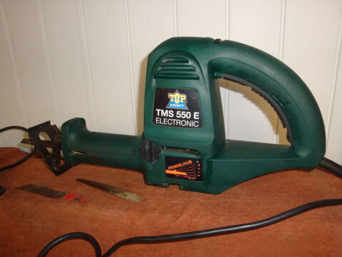 Scie sabre 20 Quesnoy-sur-De�le (59)