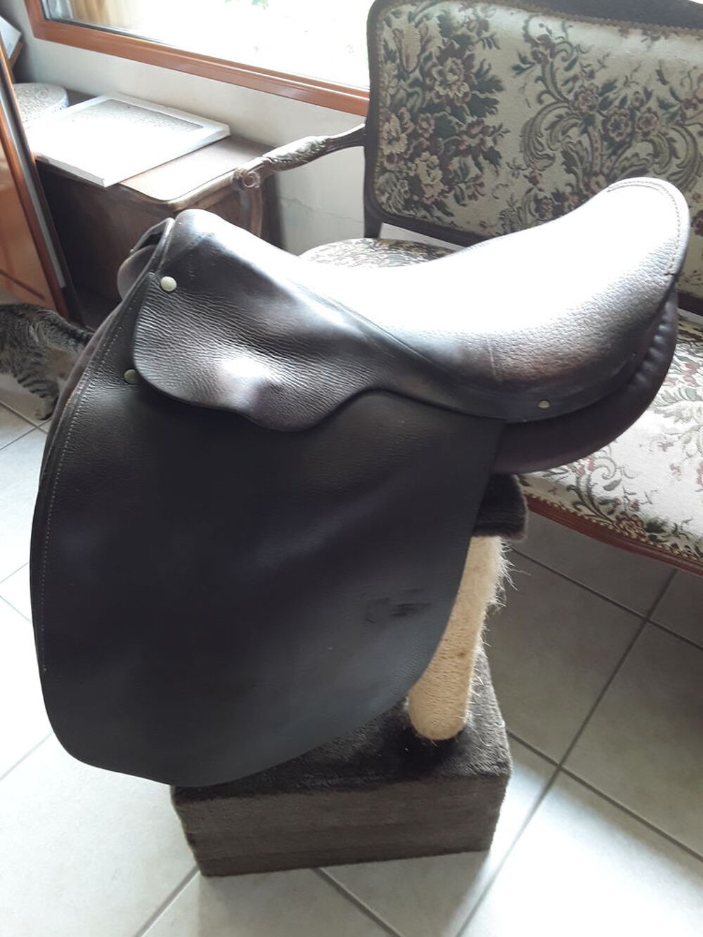 Selle dressage Sports