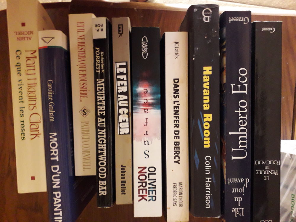 lot de 10 livres Livres et BD