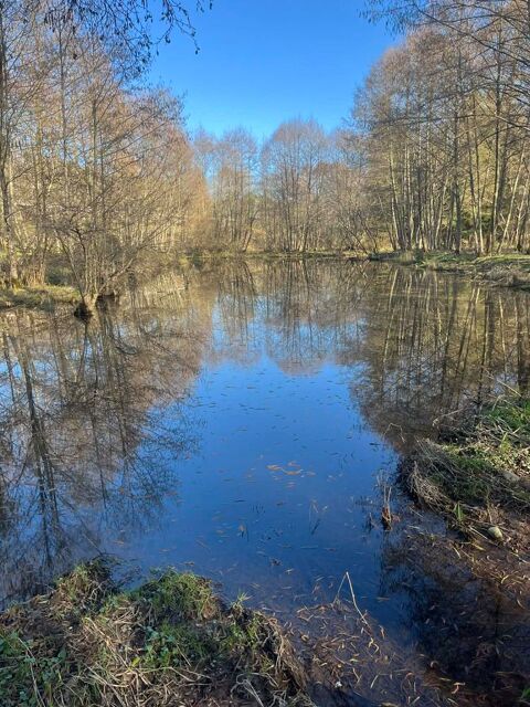   �tang sur terrain  Propri�t�/ch�teau - 1 pi�ce(s) - 10000 m�