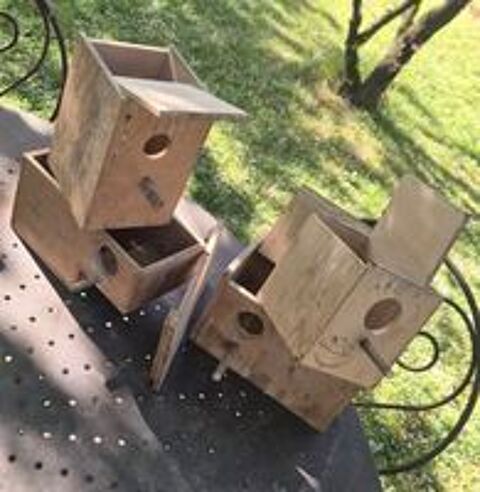   lot Nids Nichoirs bois pour oiseaux exotiques BE 
