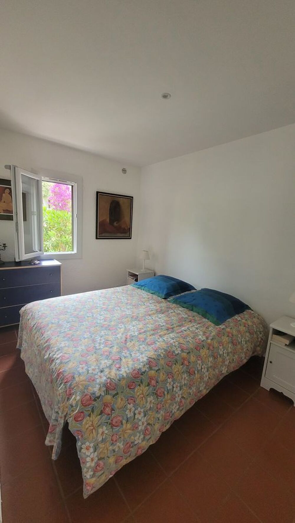   Haute Corse Marina de Sant Ambroggio  en Balagne :  Corse, Lumio (20260)