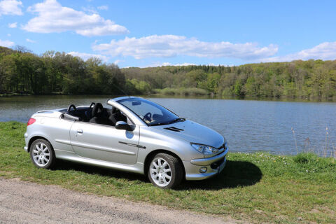 Peugeot 206 CC 1.6i 16V 2004 occasion H&eacute;ricourt 70400