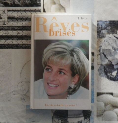 REVES BRISES La vie a-t-elle un sens ? par J. JOHN 5 Bubry (56)