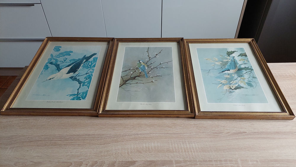 Tableau oiseaux Décoration