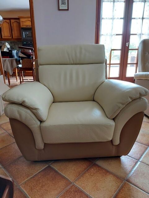FAUTEUIL CUIR  1 PLACE 290 trpagny (27)