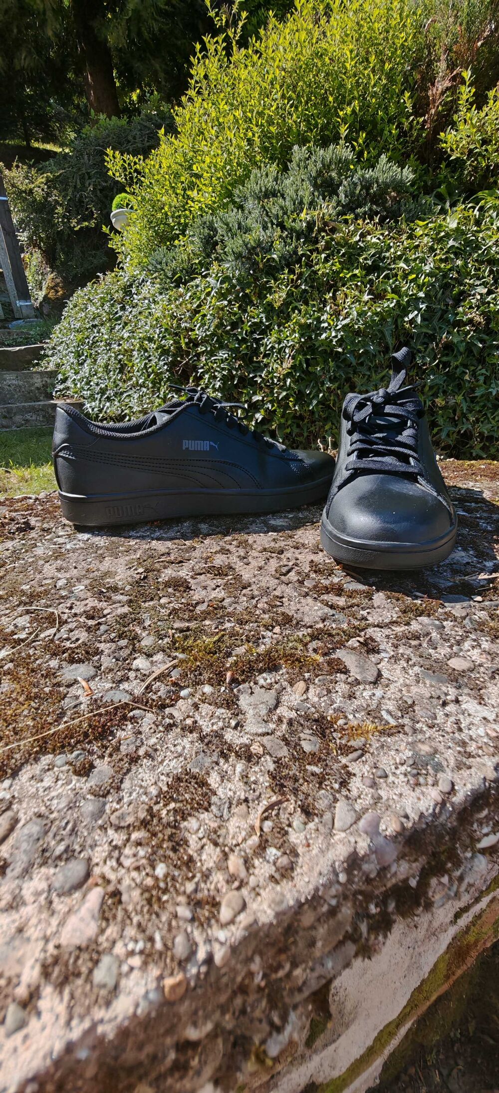 basket puma Chaussures