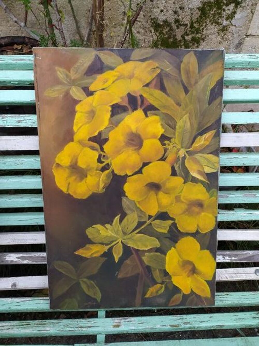 Tableau Fleurs d'Allamanda Jaune Dcoration