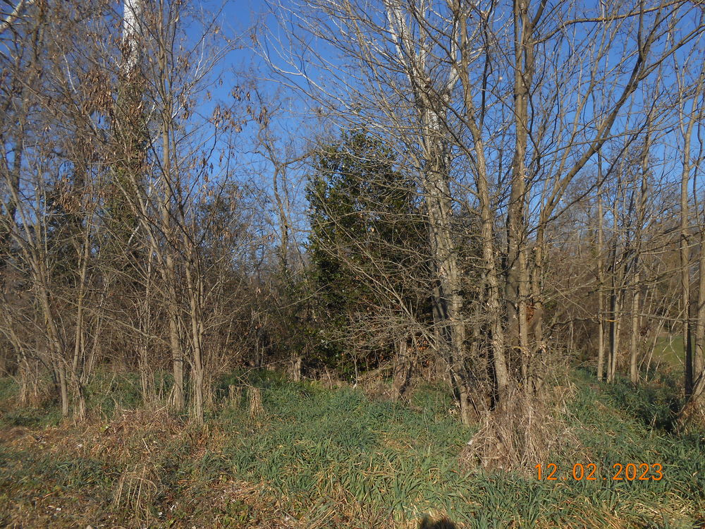 Vente Terrain terrain agricole ou de loisirs de 2250m2
parcelle AK 268 Saint-christol-lès-alès