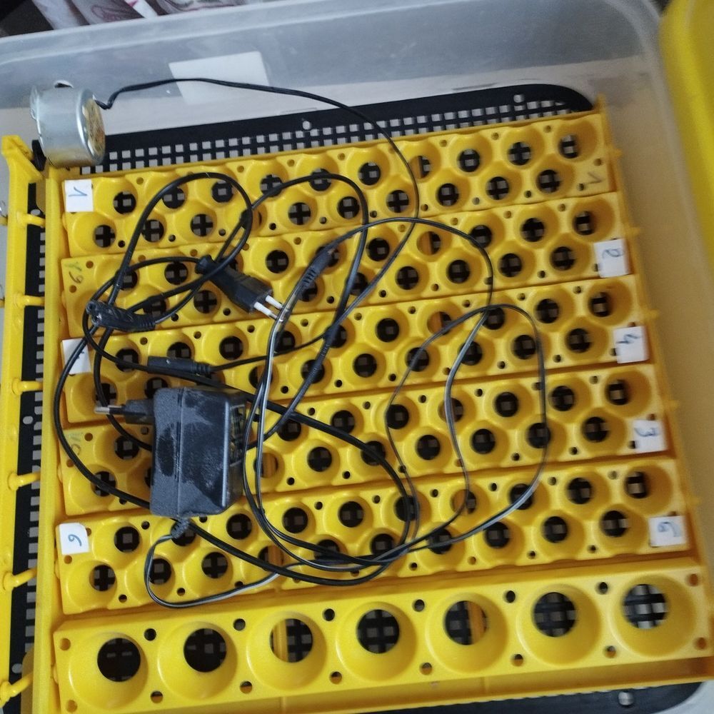 couveuse automatique Bricolage