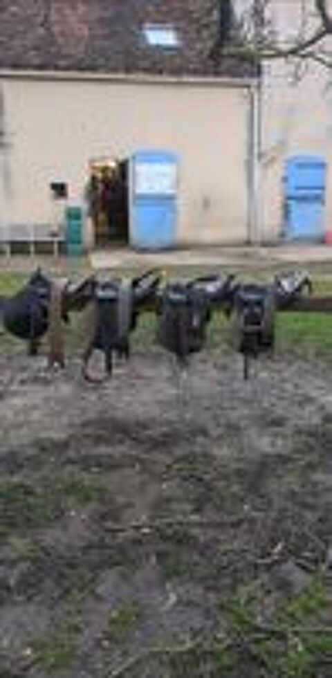   SELLES PONEY / CHEVAL 