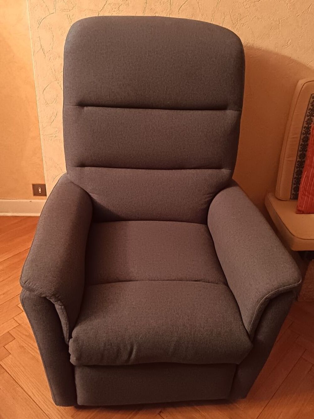 ALTOBUY Fauteuil Relax Et Releveur Electrique Tissu Gris Meubles