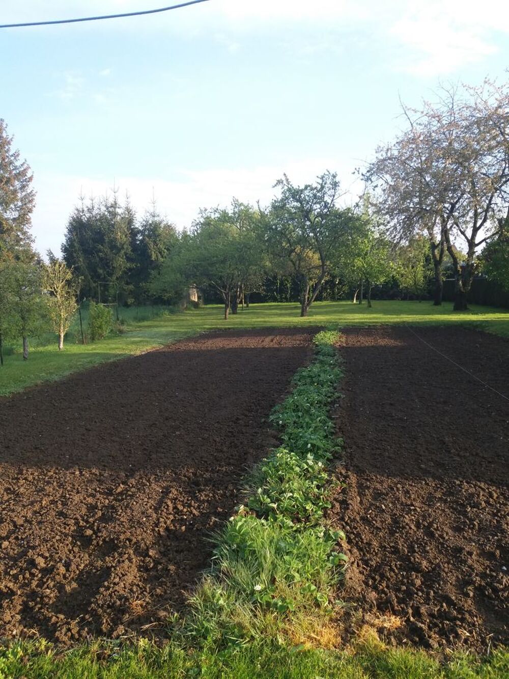 Vente Terrain Terrain constructible hors lotissement Landres