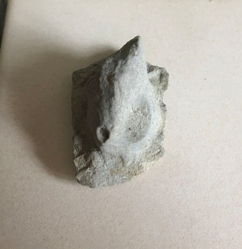 Coquillage fossilis&eacute; 