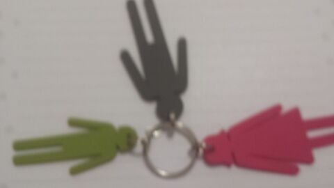 PORTE-CLEF BONHOMMES 1 Triel-sur-Seine (78)