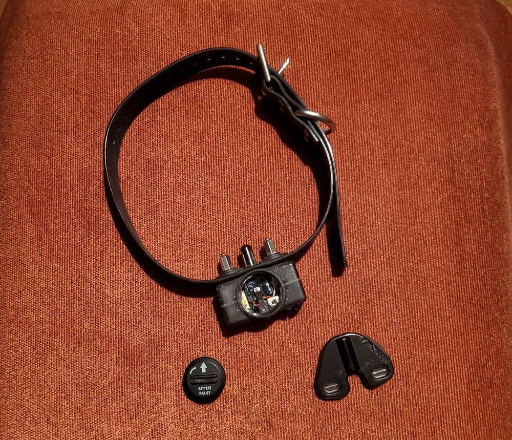 Collier chien anti-aboiement Jardin