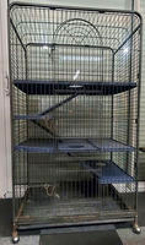  Grande cage gros rongeurs 