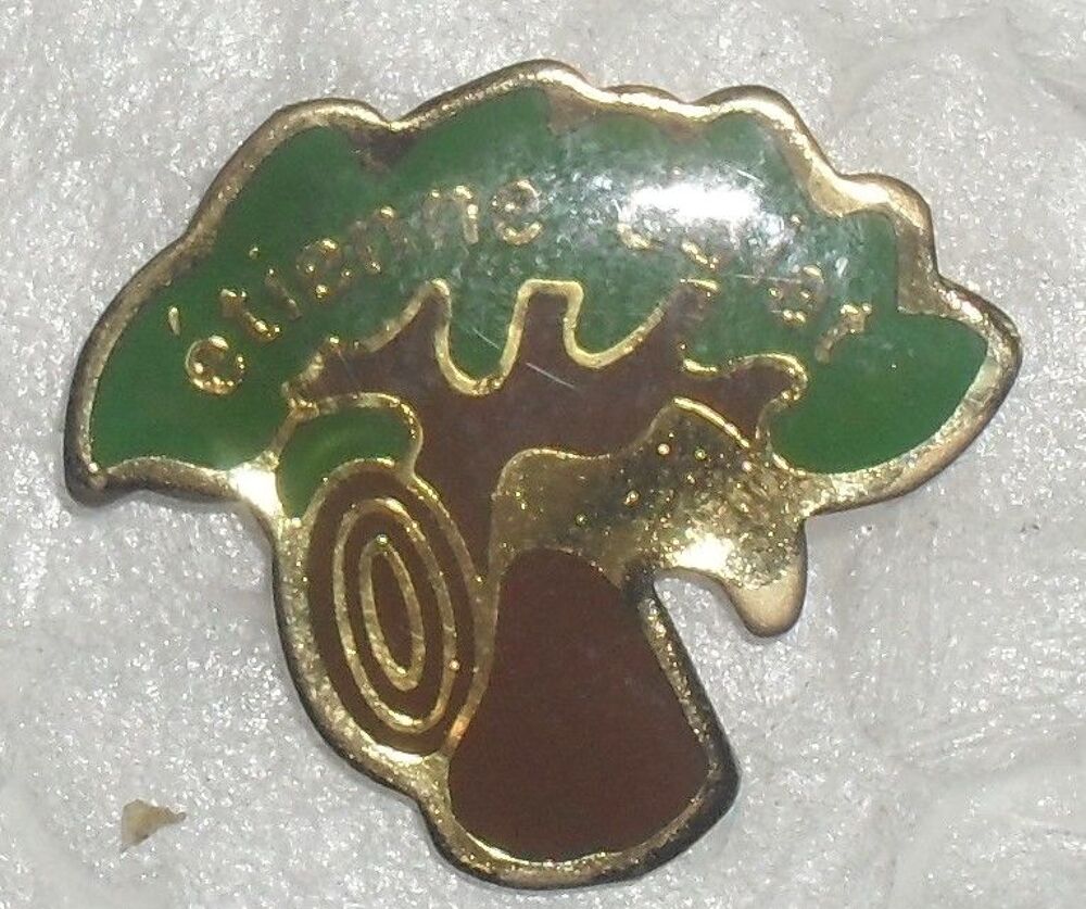 Pin's hyper rare d'Etienne DOLET. 