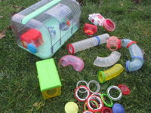  cages pour petit rongeur 