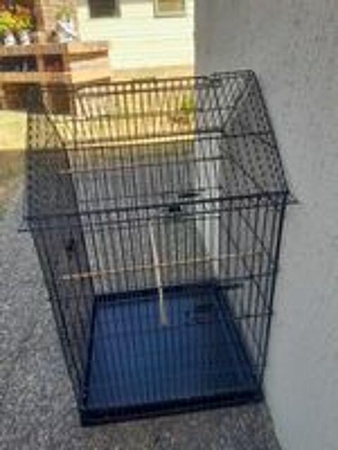   Accessoires oiseaux  