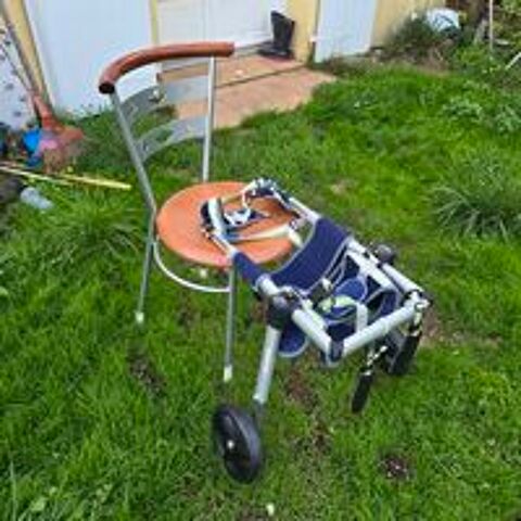   Charrette pour chiens handicapés des pâtes arrière 