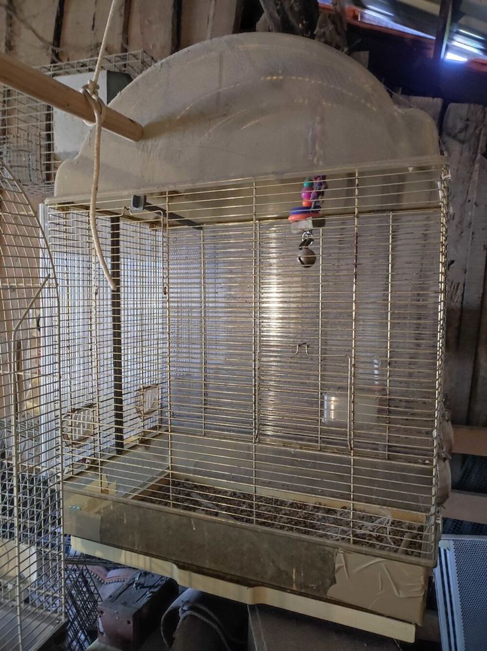 cage+oiseau Jardin