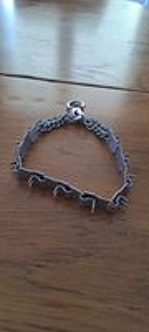   Collier de dressage chien en inox   