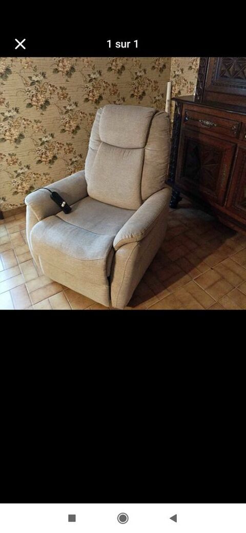 Fauteuil �lectrique 185 Tonneins (47)