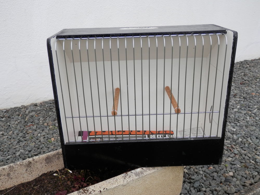   cages pour oiseaux 