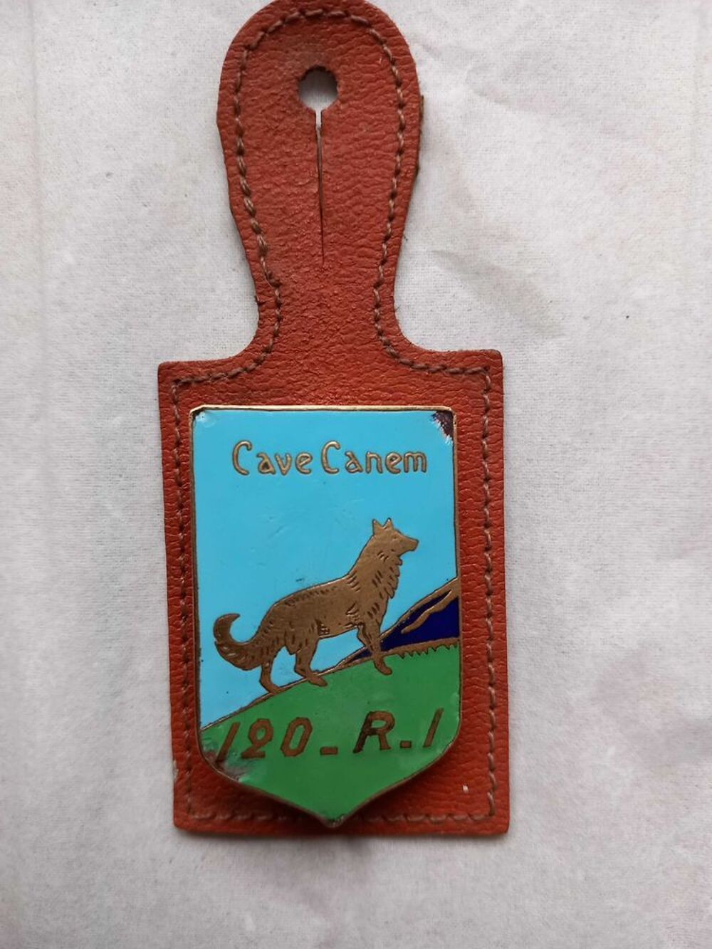 rare insigne 120 ri 
