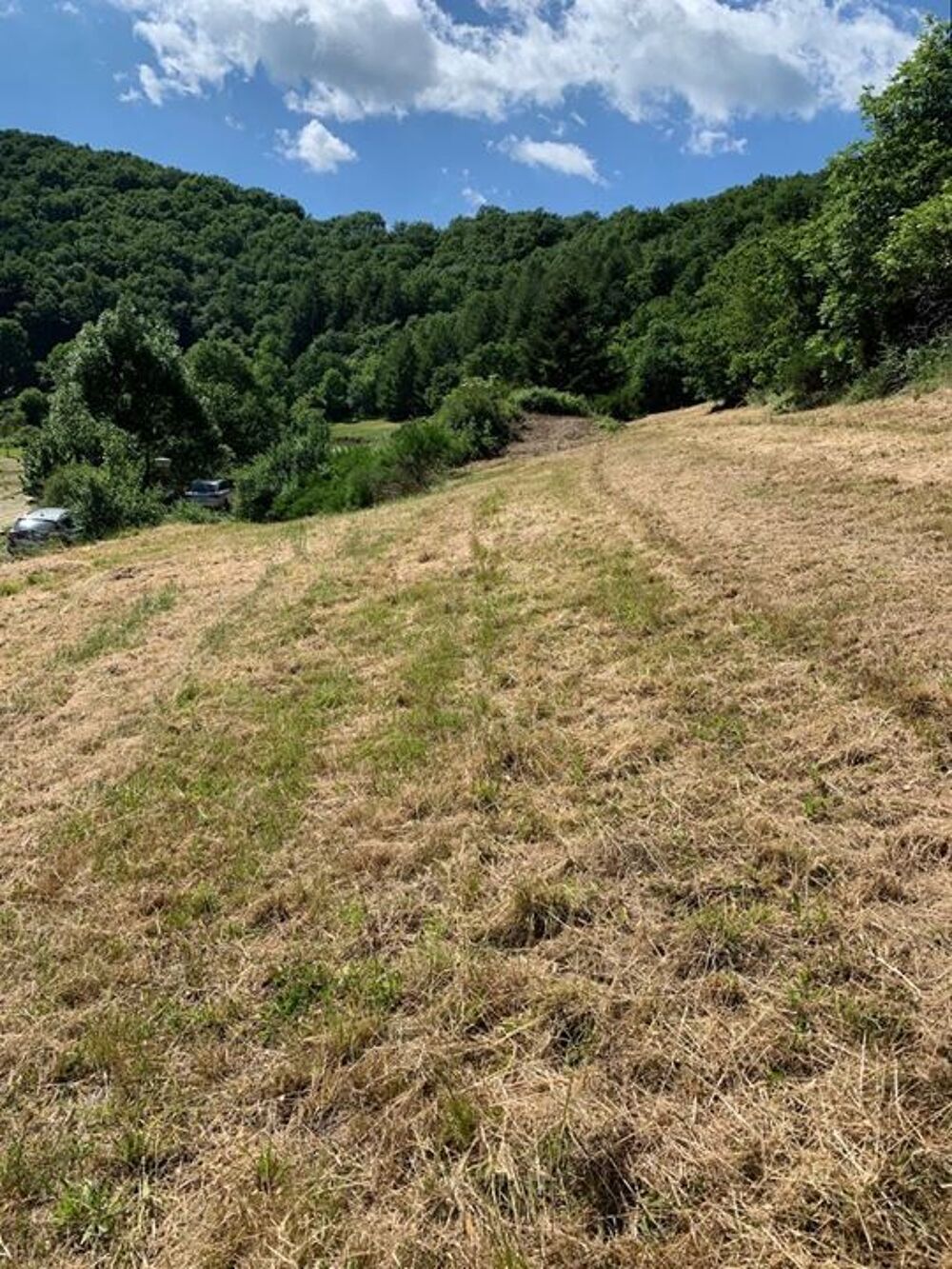Vente Terrain Terrain - 1121m � Balaguier sur rance