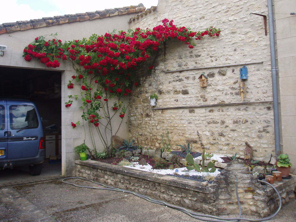   Gite Les Passiflores86 a 8Km FUTUROSCOPE   Poitou-Charentes, Saint-Georges-lès-Baillargeaux (86130)