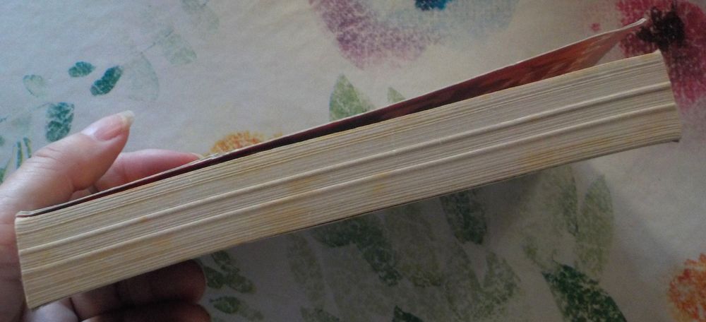 JOYLAND de Stephen KING Ed. Le Livre de Poche Livres et BD
